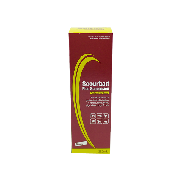 Scourban Plus