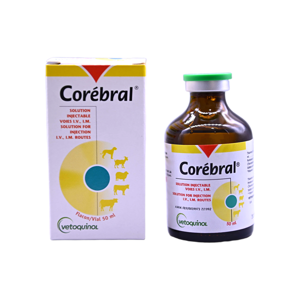 Corebrall COREBRAL