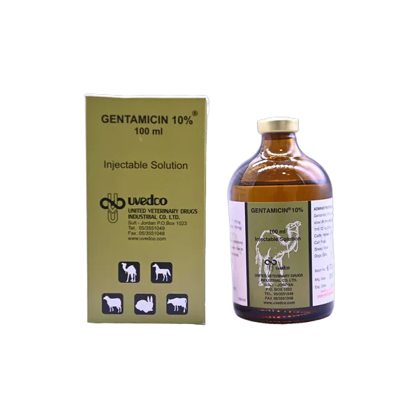Gentamicin-100-ml Gentamycin 10%