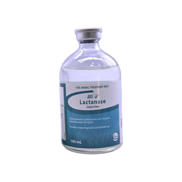 Lactanase injection-dnscaled (1) Lactanase Injection
