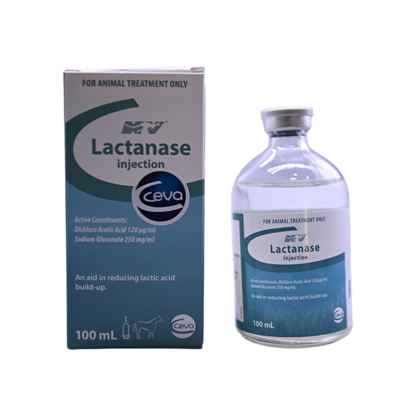 Lactanase injection-dnscaled Lactanase Injection
