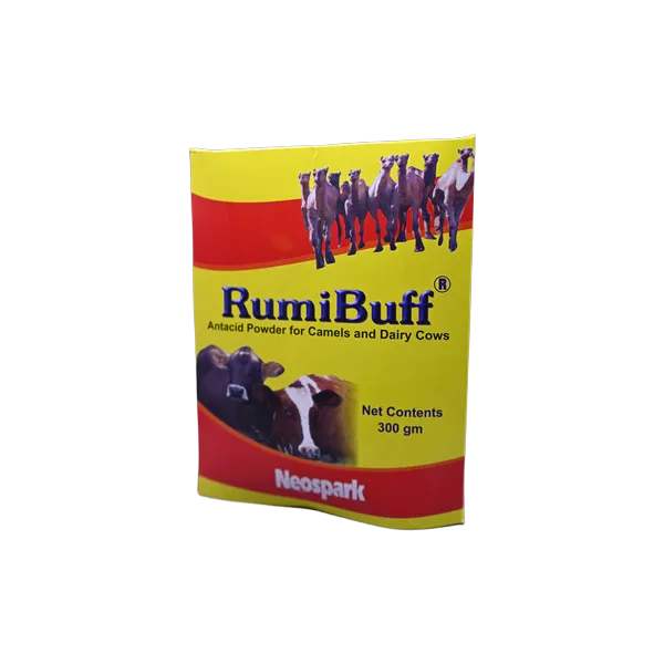 Rumi_final RumI Buff