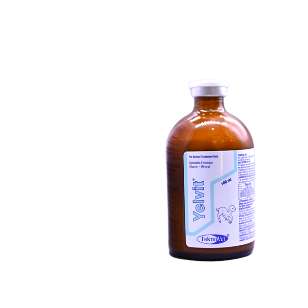 Yelvit