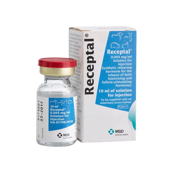 receptal-solution__75525 Receptal